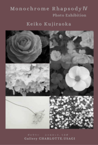 10/29-11/3 鯨岡敬子 写真展 Monochrome Rhapsody IV